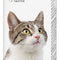 Beaphar Multi-Vit Laveta Kat Met Taurine